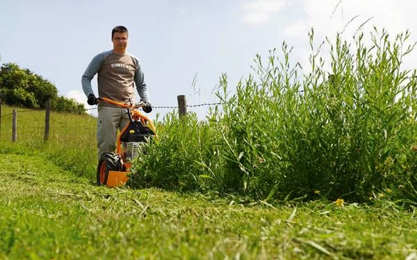 Meadow mower AS 73 4T B&S