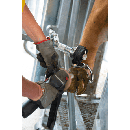 Patura Behandlungsstand A8000