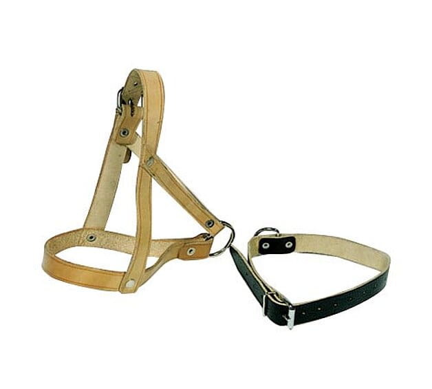 60202 Halsriemen Schafe / Böcke - Leder