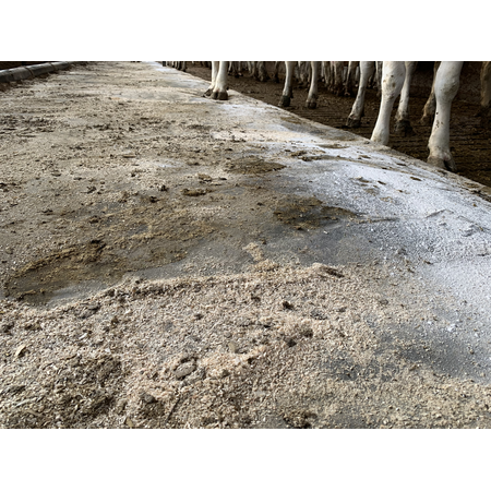 Patura Kuhmatratze - Wasserbett