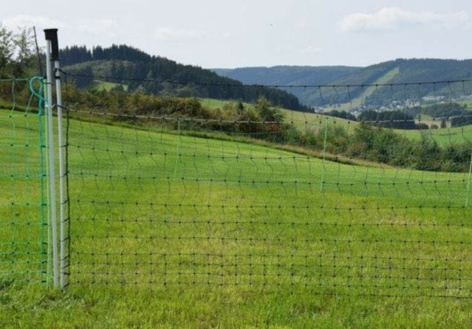 10317 Euro-Netz Tor Jumbo 112/2 - 3,0 m breit