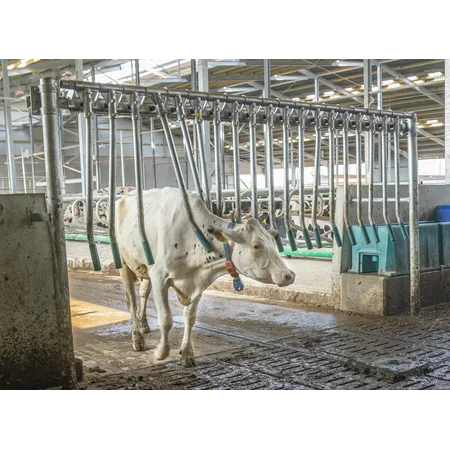 Patura Trägergestell Fingergatter