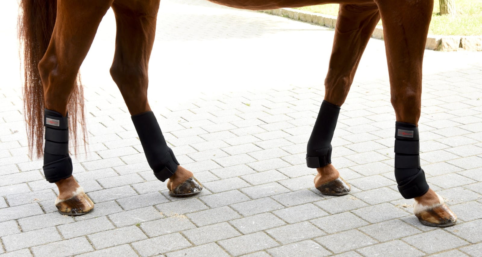 4x Kerbl fetlock boots | precise shaping & protection