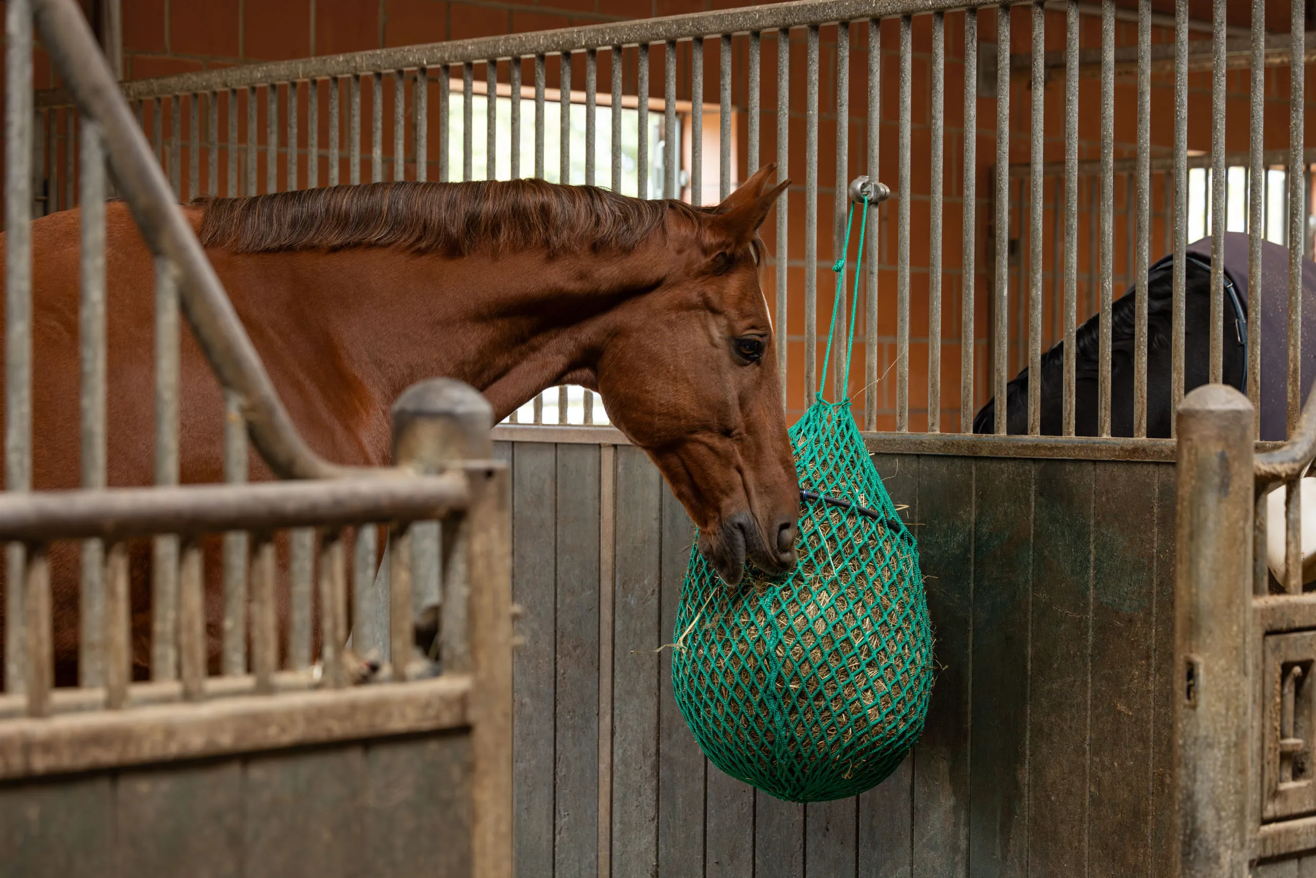 Heunetz mit Ring 120 cm – 4,5 cm Maschen, einfach befüllbar, ohne Metall