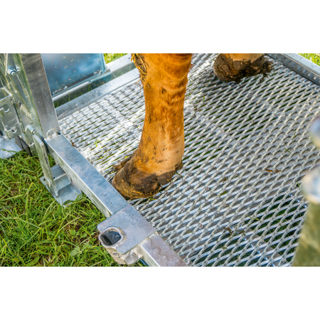 Patura Behandlungsstand A8000