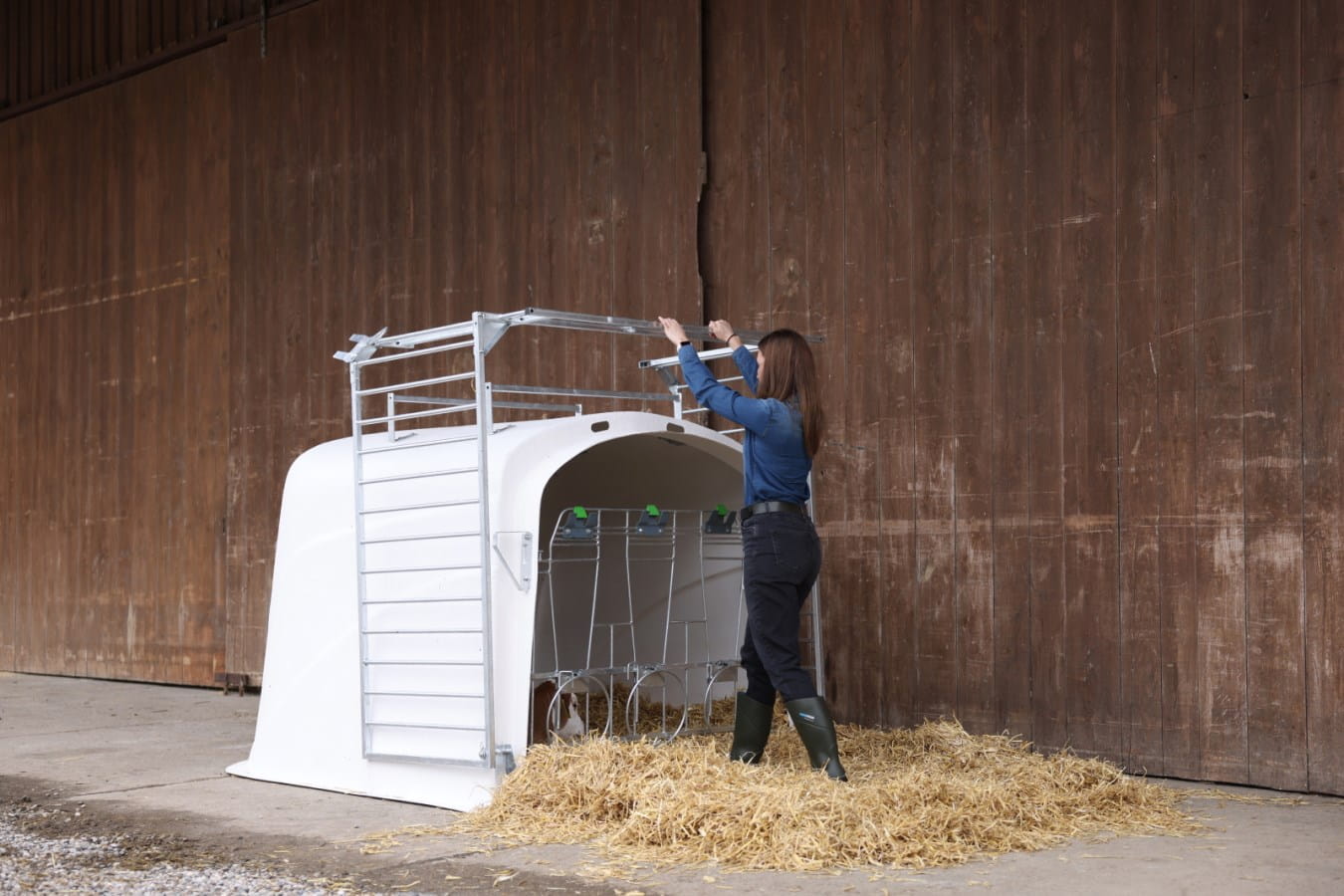 Kerbl Kälber Gruppeniglu bis 3 Kälber - mit Umzäunung