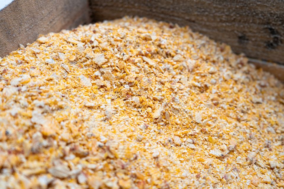 Remet CNC Getreidequetsche / Getreidemühle GX50 - 230V