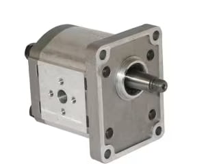 casappa zahnradmotor 2