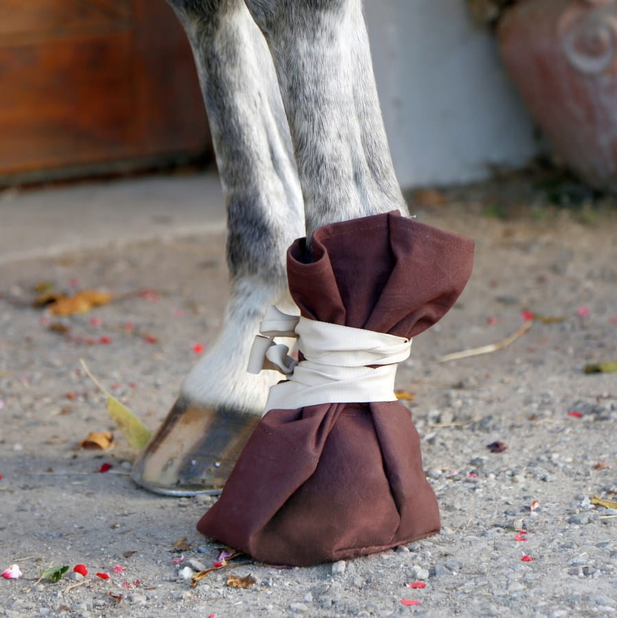 Behandlungsschuh für Hufe und Klauen - 15 cm x 30 cm