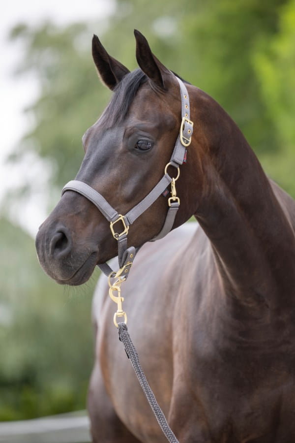 Kerbl Halter Classy