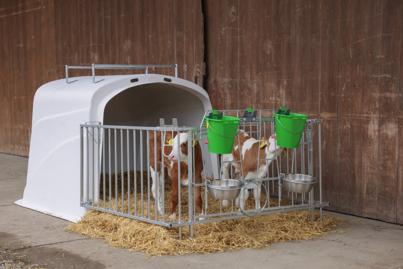 Kerbl Kälber Gruppeniglu bis 3 Kälber - mit Umzäunung