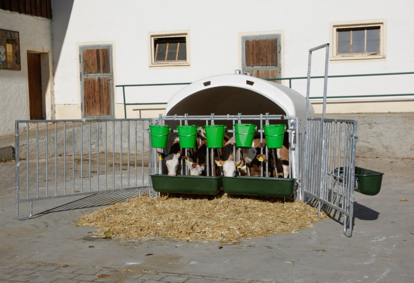 KERBL Kälberiglu CalfHouse Premium XL – Kälberhütte für 5 Kälber mit Umzäunung