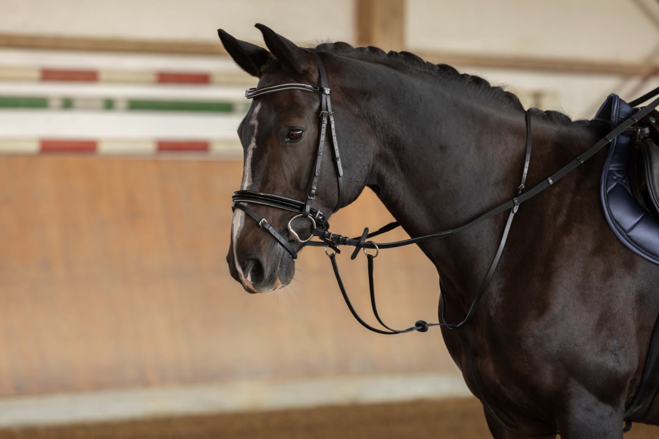Kerbl Martingale - prevents the horse from head tossing
