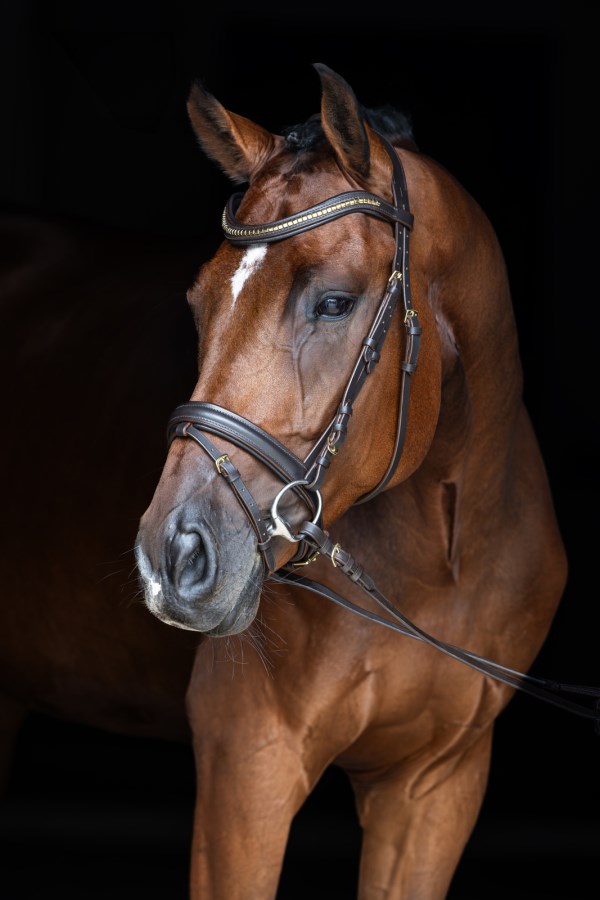 Kerbl Trensenzaum Clincher