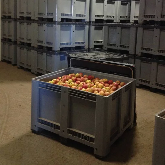 äpfel, obst, kiste, fruchtkiste, lagersystem