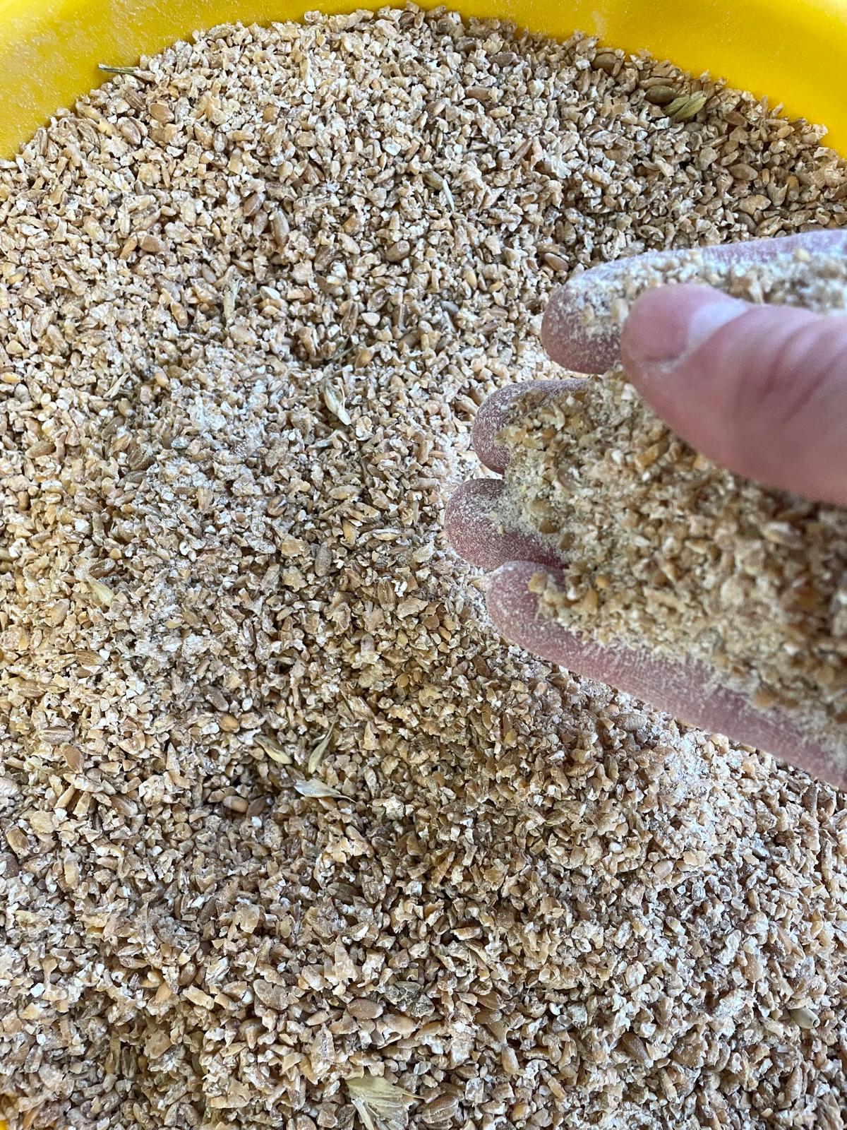 Getreidequetsche Remet CNC GX100 - stufenlose Einstellung