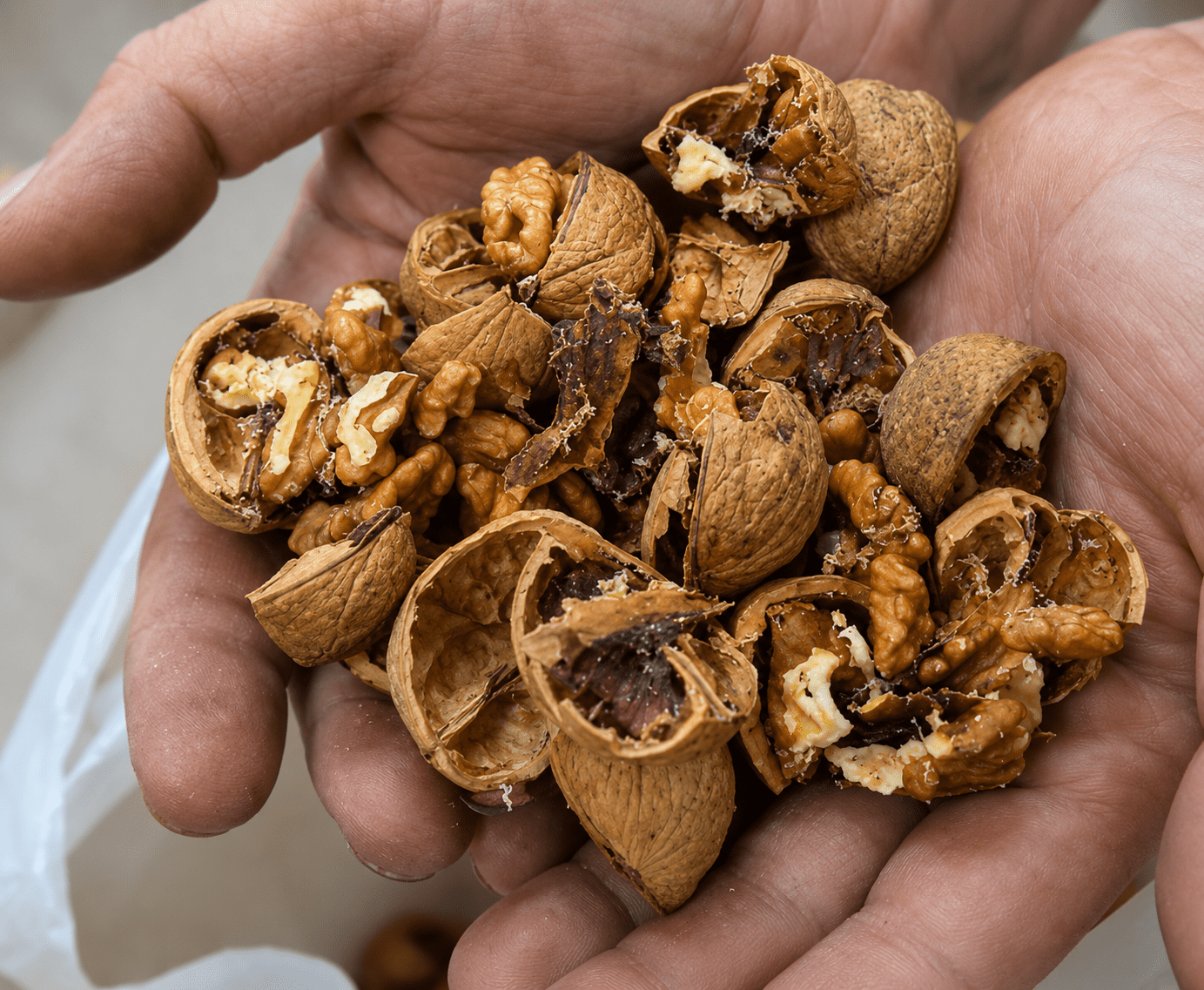 Nussknackermaschine bis zu 50(kg/h) - Antrieb über Akkuschrauber