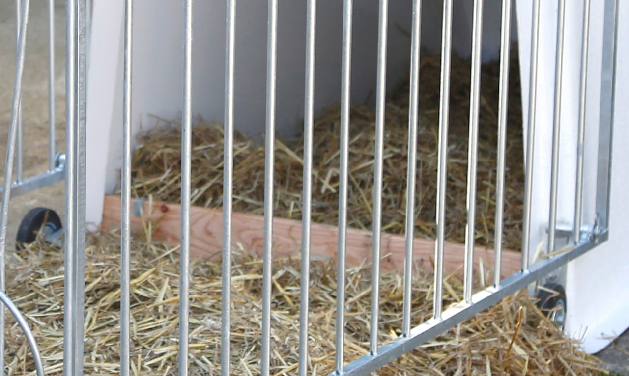 Kerbl Kälber Einzeliglu MasterPlus - mit leichter Umzäunung