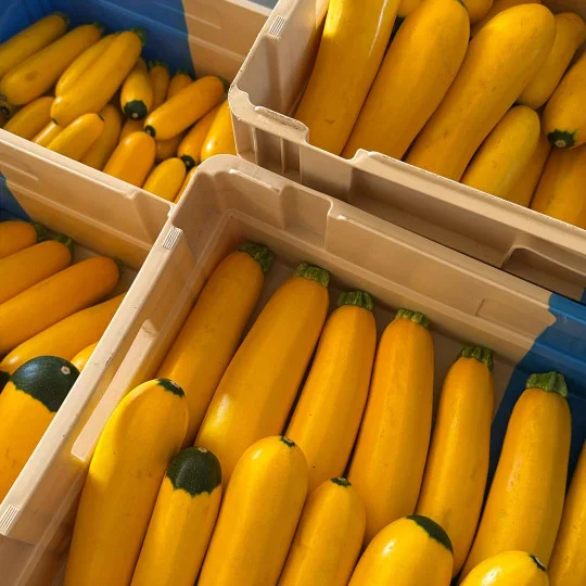Zucchini, Gelb, Kasten, Gemüse, Zucchini-Korb?