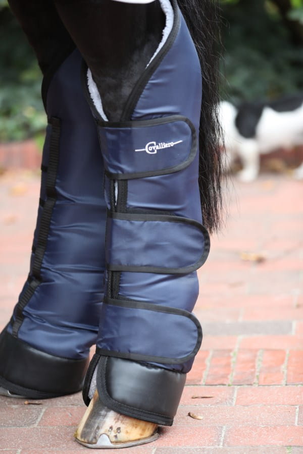 4x Kerbl Dexter Transport Boots | for front and hind legs