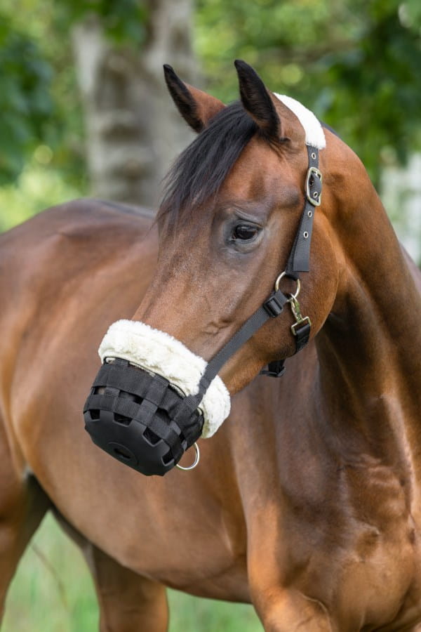 Kerbl muzzle teddy fleece for horses