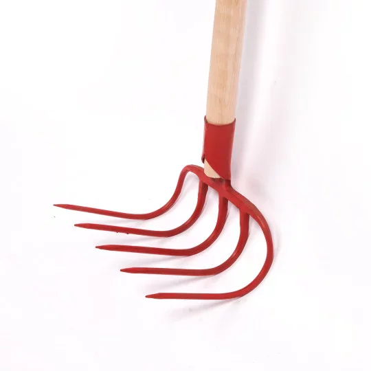 Fourche courbe à 5 dents – largeur de travail de 21 cm avec manche en bois de 135 cm en acier trempé