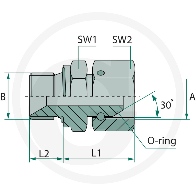 Gerader Adapter - AG M22x1,5 O-Ring / IG M22x1,5