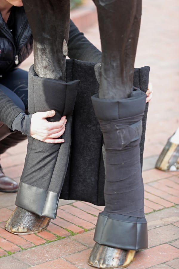 2 x Kerbl bandage pads