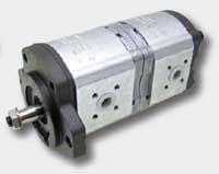 BL21433 Doppelpumpe - passend zu Renault R - 6005030944