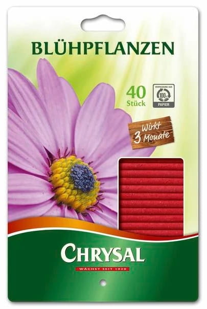 Blumenziegel, Chrysanthemen, Samen, Stäbchenkerzen, Gartenpflanzen