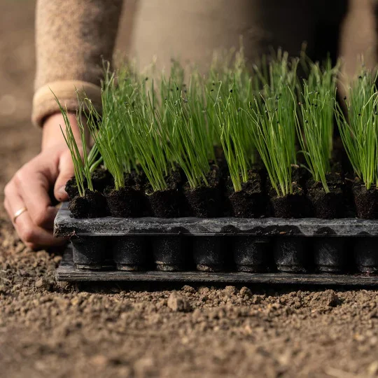 QuickPot Auspflanzplatte für Blumen – Profi Entformungsplatte für einfaches Auspflanzen & perfekte Wurzelballenlösung