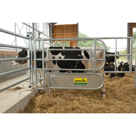 Patura partition for animal treatment