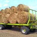 Conow Ballenwagen - mit Ausschub