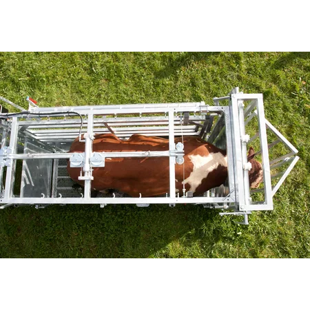 Patura Behandlungsstand A8000