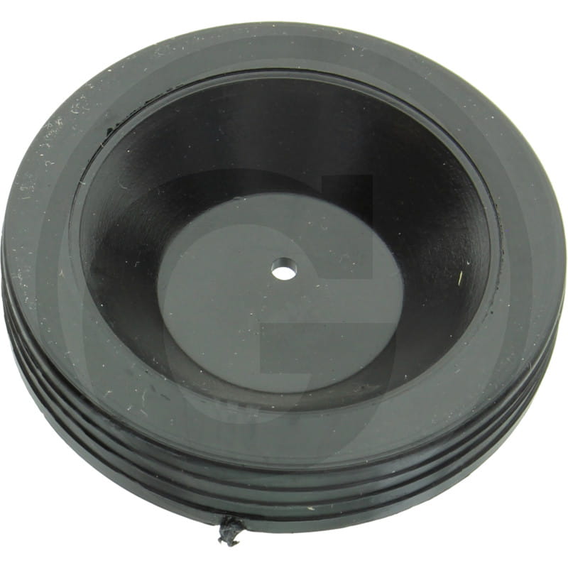 Abdeckscheibe - passend zu Vicon