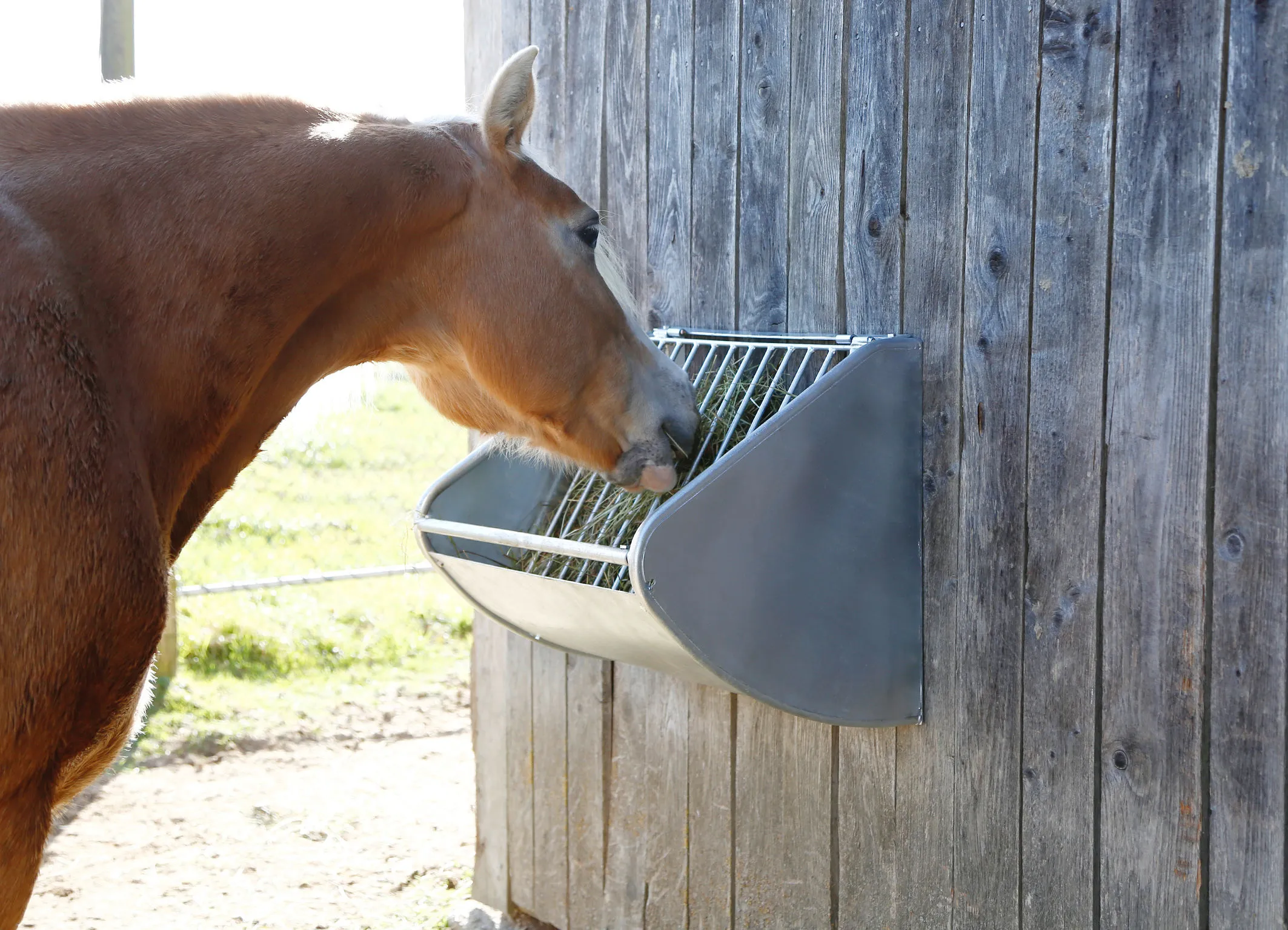 Heuraufe mit Futterspargitter für Pferde – Slow Feeder Wandraufe verzinkt