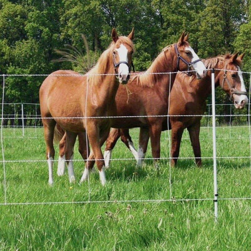 pferdenetz-euronetz-weidenetze-30m-2-spitzen-120cm-4_1920x1920