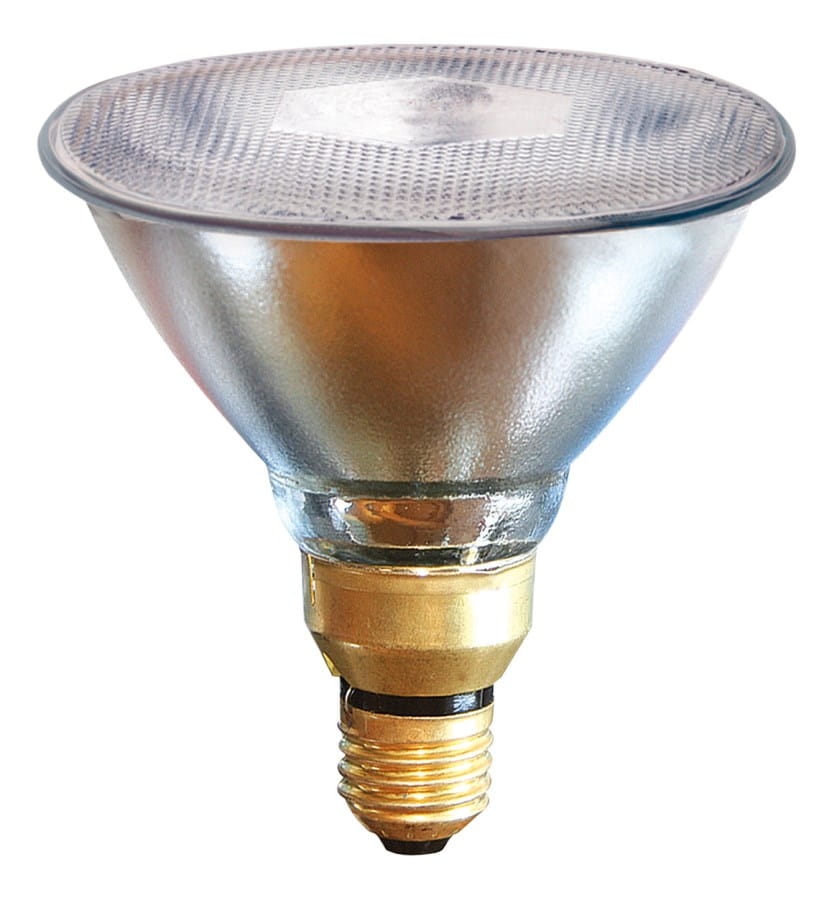 Infrared energy-saving lamp PAR38 E27 - clear / 100W