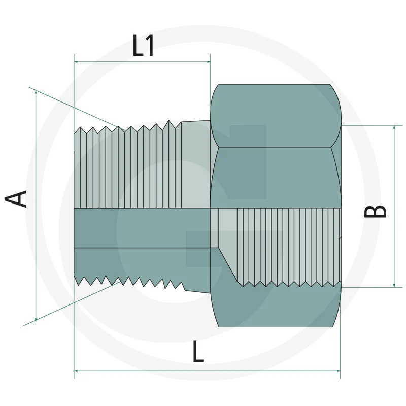Gerader Adapter - AG 1/2" BSPT / IG M16x1,5