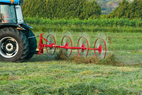 FPM Sternradschwader