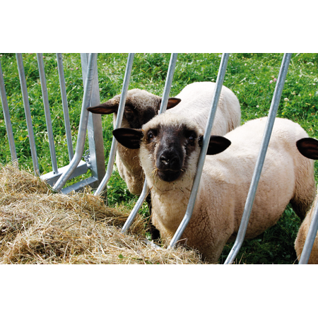 Patura Viereckraufe Schafe - mit Dach