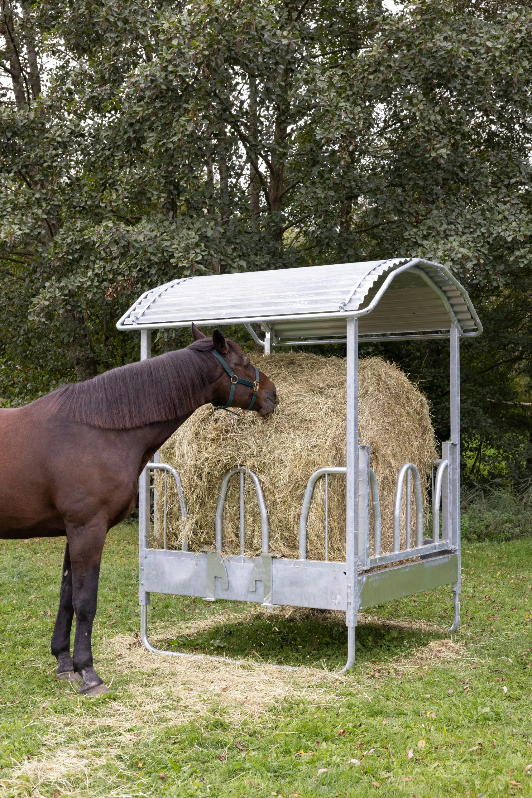 Viereckraufe Hobby 1,5 x 1,5 m mit Palisadenfressgitter – 8 Fressplätze Ballenraufe