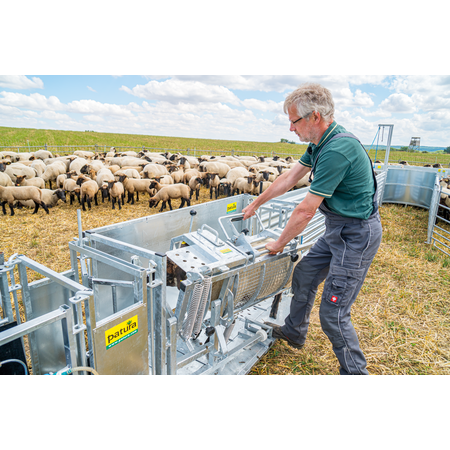 Patura Behandlungsstand Typ XL für Schafe