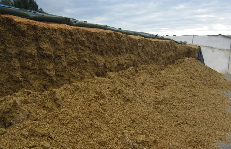 Bressel und Lade Silagerechen