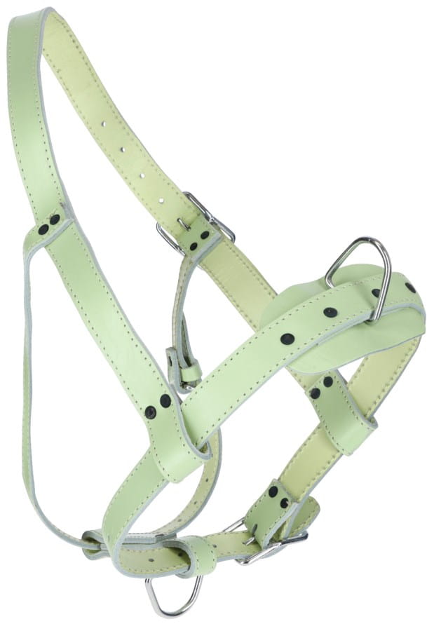 Kerbl Bullenhalfter Leder - hellgrün