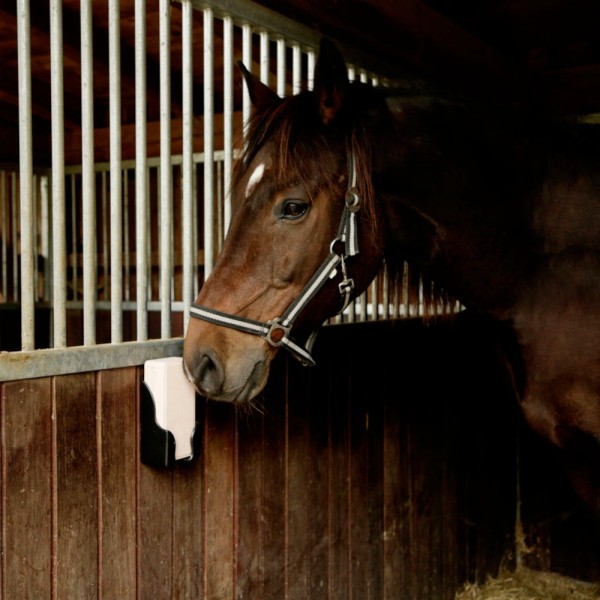 DELIZIA-R-Salzleckstein-gepresst-K-324804-3_600x600