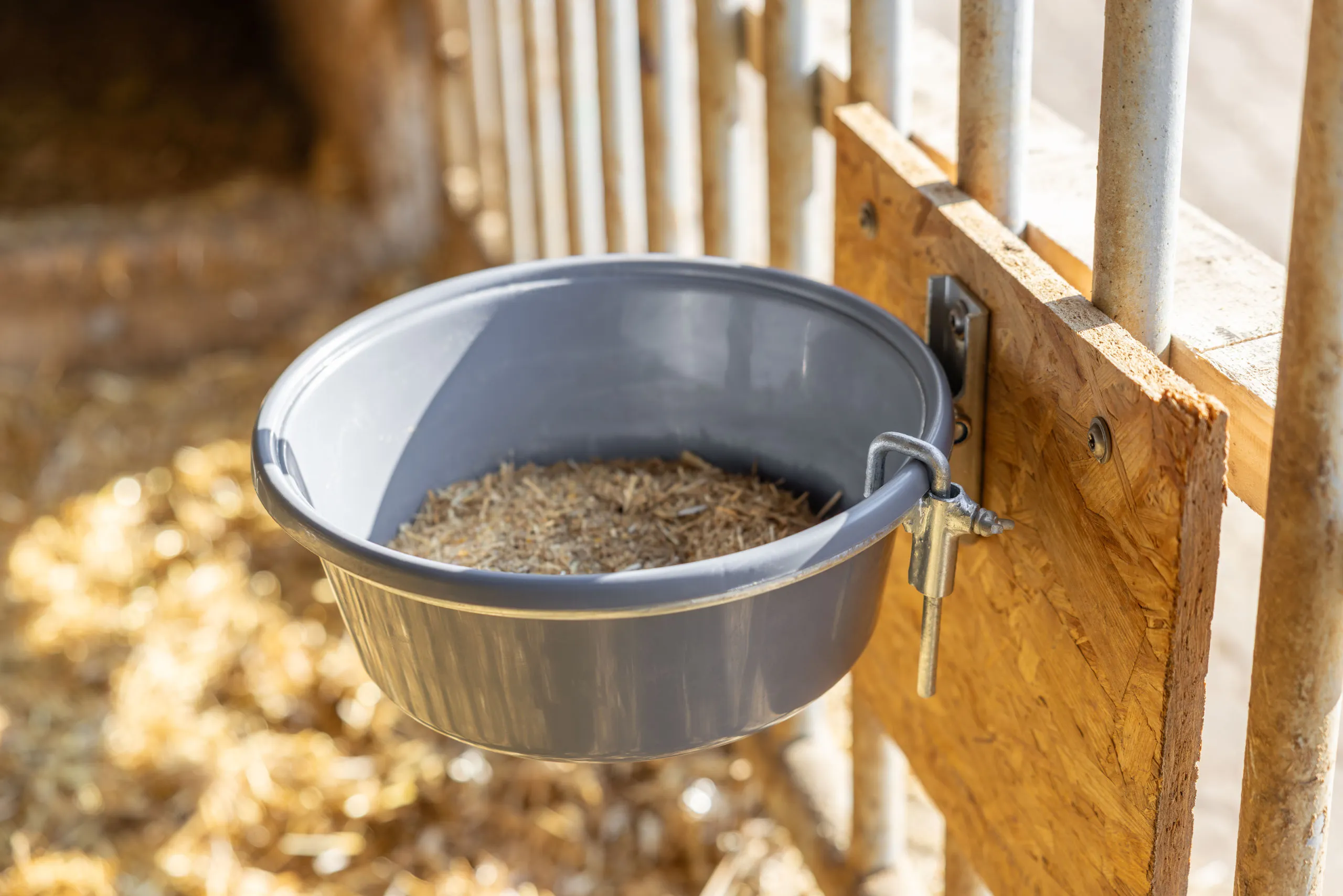 Eimerhalterung mit Auswurfsicherung Ø 28 cm – Verzinkter Eimerring für Stall & Weide