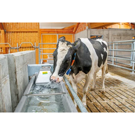 Patura Flachschwenk Trog - 1,00 m, 35 l