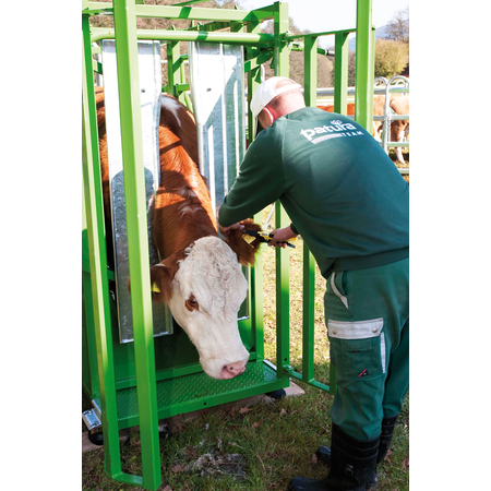 Patura Behandlungsstand A5000