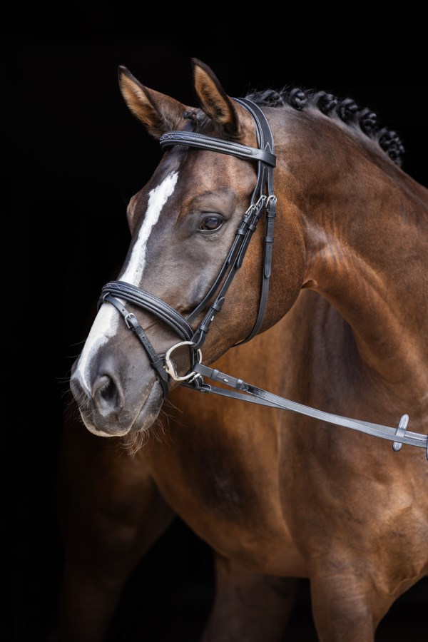 Kerbl Trensenzaum Classic